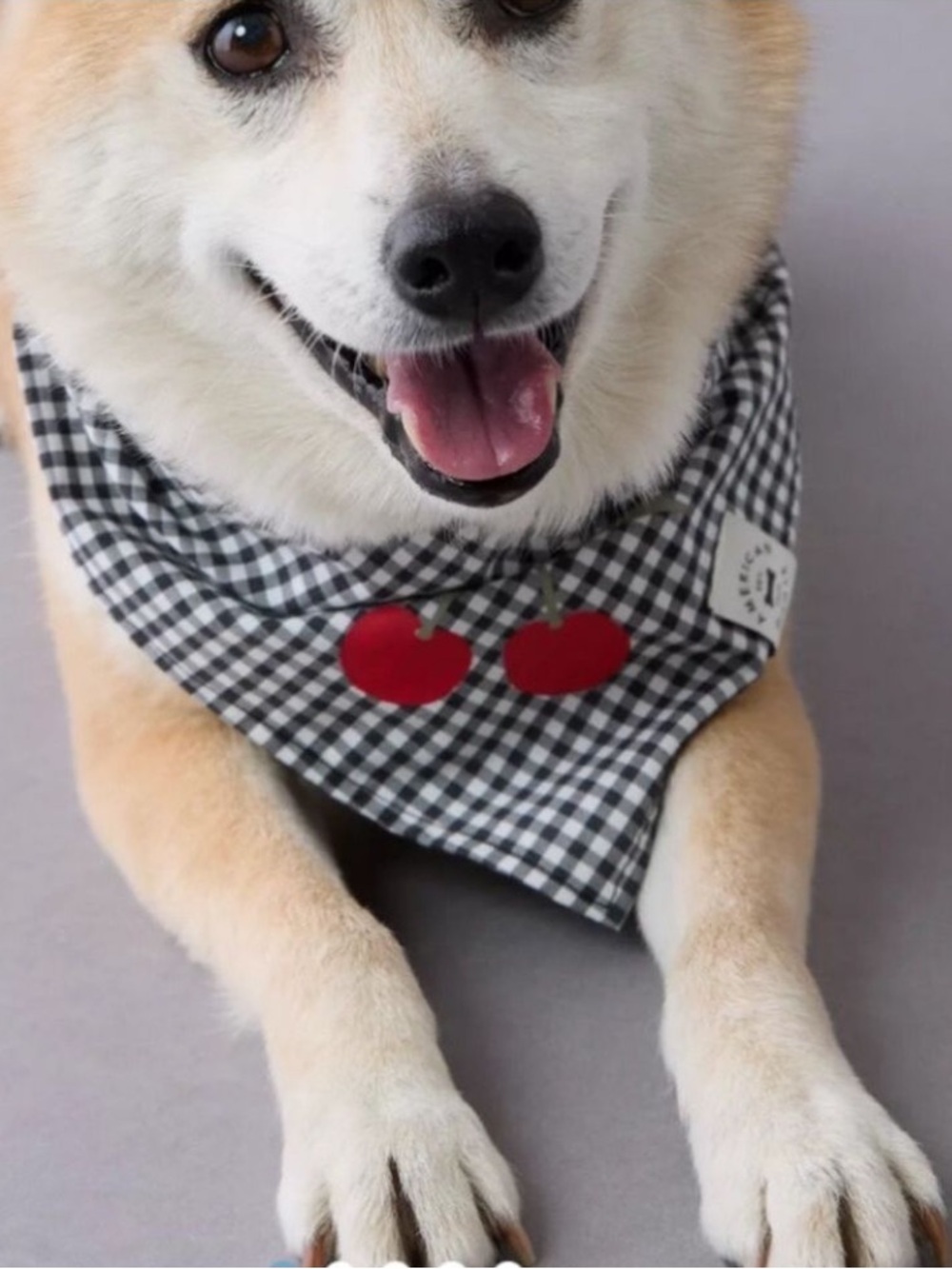 Cherry Gingham Dog Bandana AEO Black and White Check Kitschy Cute